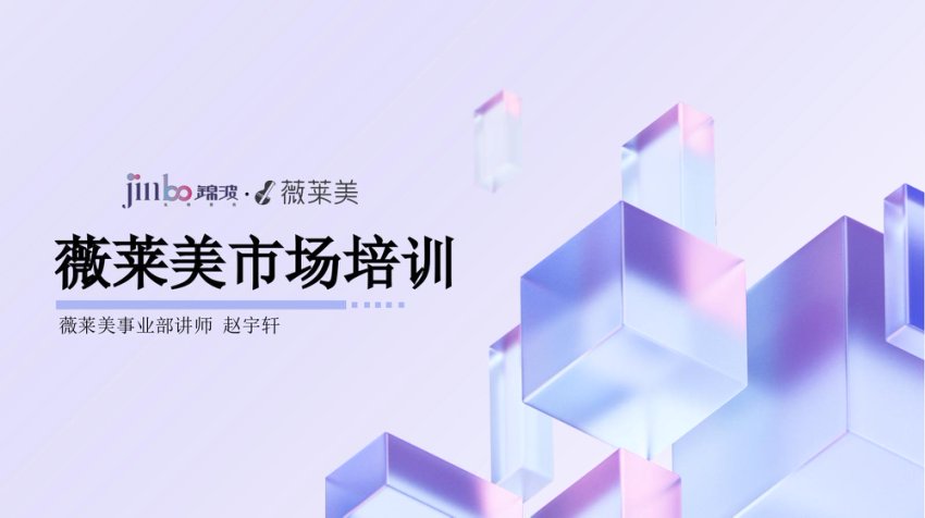 薇莱美市场培训